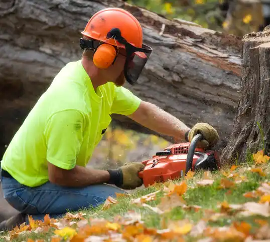 tree services Sharpsburg